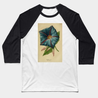 Ipomoea Learii: Morning Glory Baseball T-Shirt